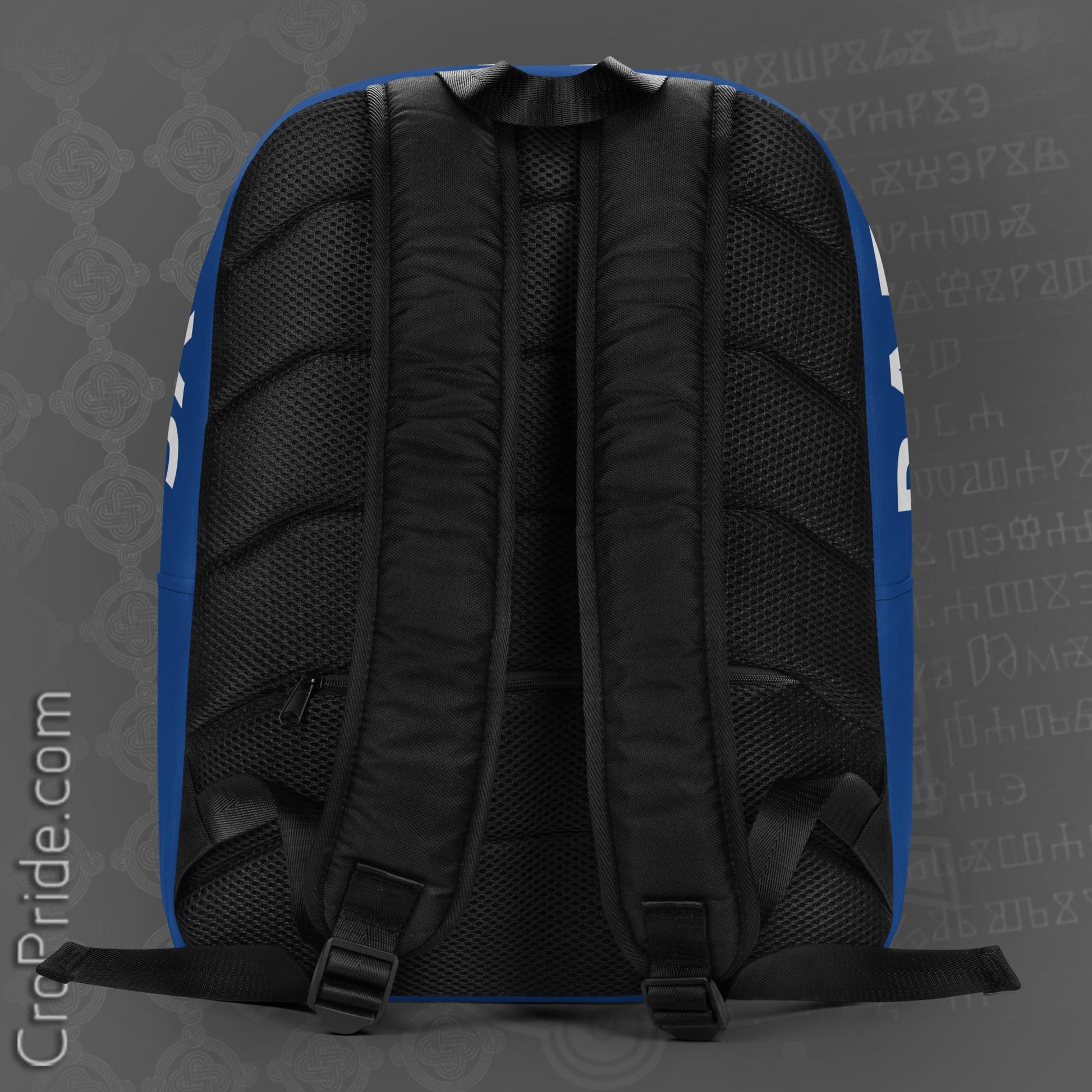 Dinamo Zagreb Backpack - CroPride Gear Design | Water-Resistant 